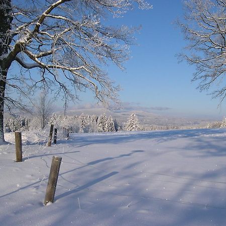 Luxury Apartment In Sumava Mountains Kristanov Экстерьер фото