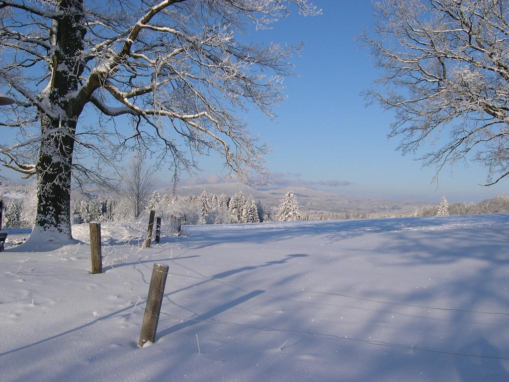 Luxury Apartment In Sumava Mountains Kristanov Экстерьер фото
